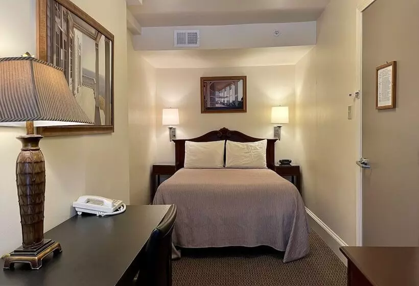 اتاق اکونومی, Oasis Guest House