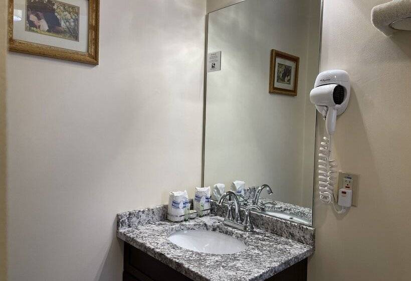 エコノミールーム, Oasis Guest House