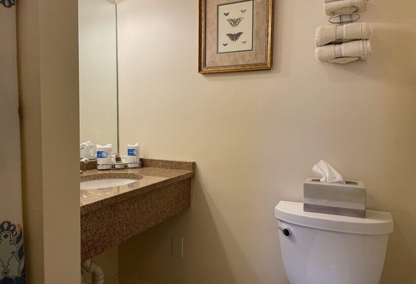 スタンダードルーム, Oasis Guest House