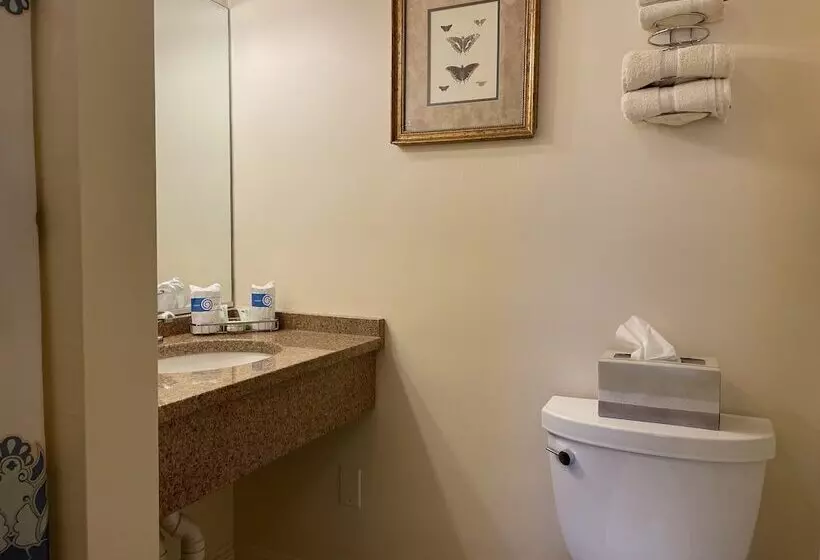 اتاق استاندارد, Oasis Guest House