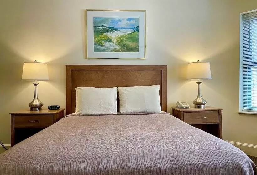 اتاق استاندارد, Oasis Guest House