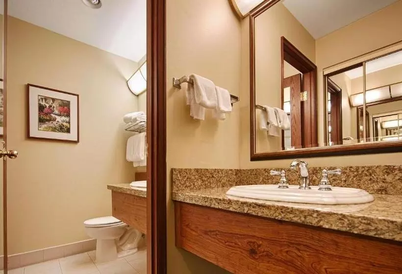 キングサイズベッドのスタンダードルーム, Best Western Plus Gold Country Inn
