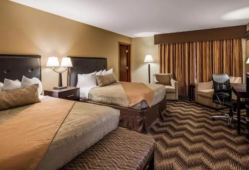 スタンダードルーム, Best Western Plus Gold Country Inn