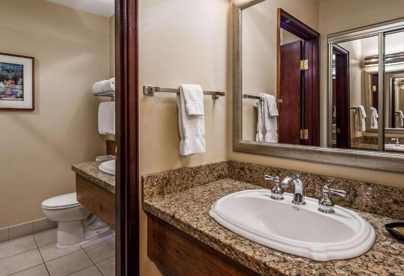 带大床的豪华间, Best Western Plus Gold Country Inn