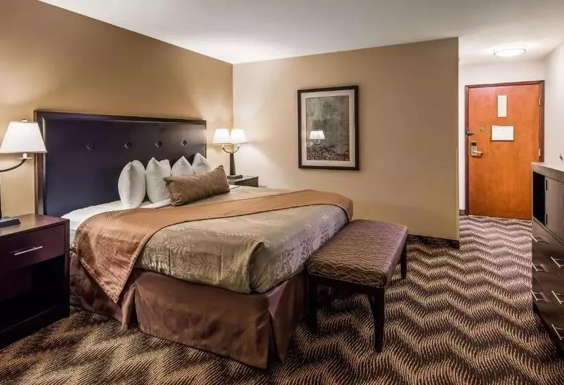 身障者適用キングサイズベッドルーム, Best Western Plus Gold Country Inn