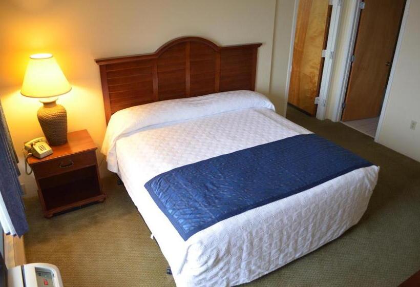 דירת פנטהאוז 1 חדרי שינה, Holiday Sands South