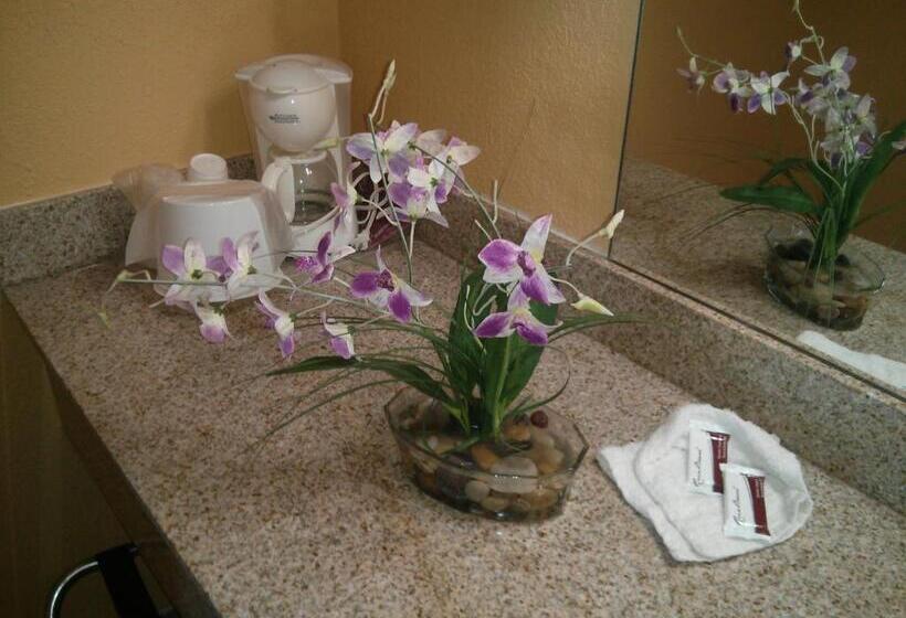 غرفة قياسية سرير كينج, Inn Cheraw