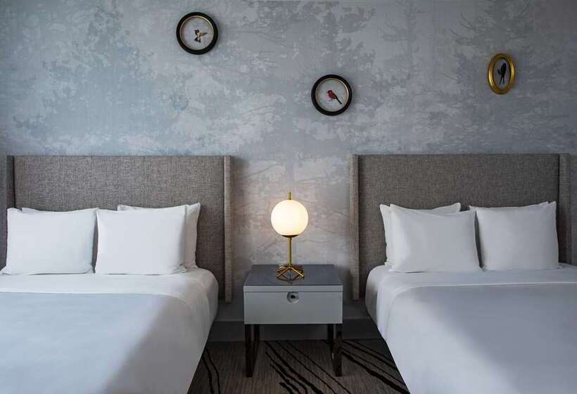 Номер Стандарт, The Starling Atlanta Midtown, Curio Collection By Hilton