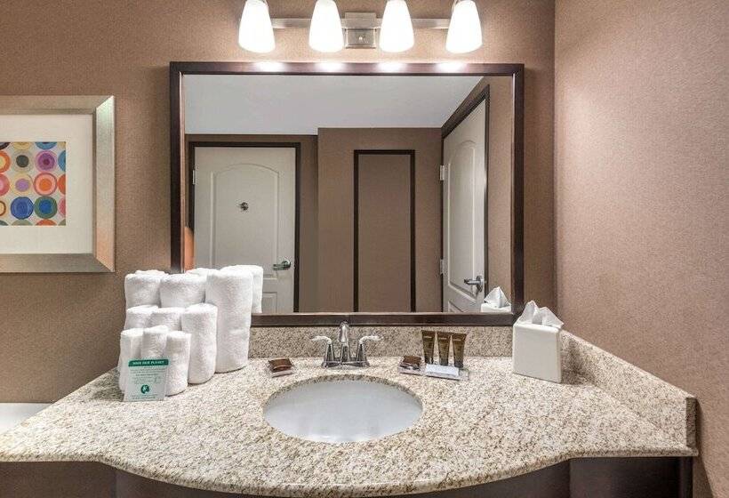 סוויטת ג'וניור, Wingate By Wyndham St. George