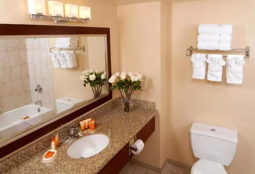 اتاق دلوکس با تخت کینگ و چشم‌انداز شهر, Boulder Station Hotel & Casino