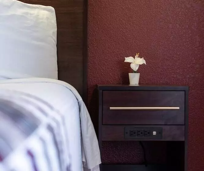 اتاق استاندارد, California Inn And Suites, Rancho Cordova