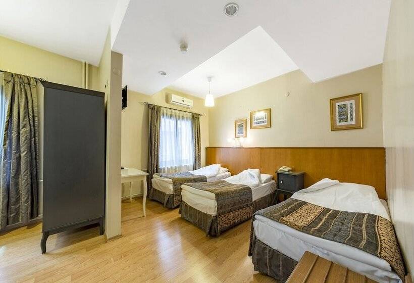 اتاق استاندارد سه نفره, Fehmi Bey