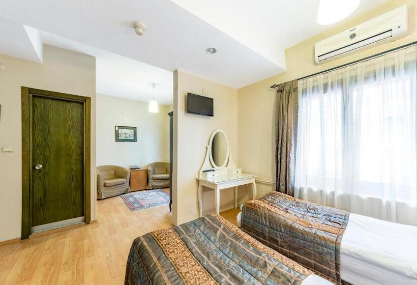 اتاق استاندارد سه نفره, Fehmi Bey