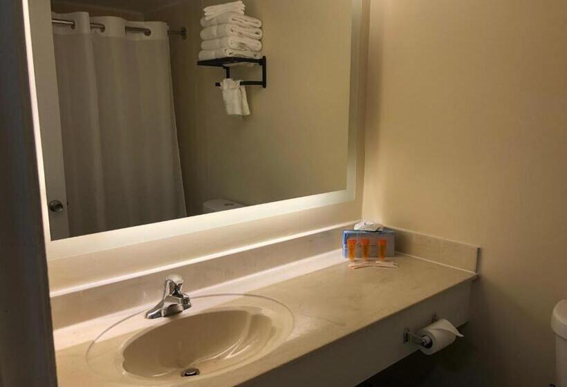 اتاق استاندارد با تخت بزرگ, Gazebo Inn Oceanfront