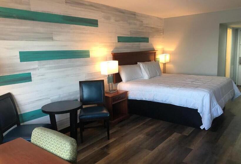 اتاق استاندارد با تخت بزرگ, Gazebo Inn Oceanfront