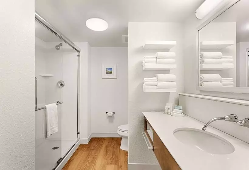 デラックスルーム, Hampton Inn Pawleys Island   Litchfield