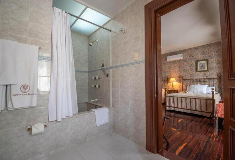 2ダブルベッドのスタンダードルーム, Quinta Las Acacias Hotel Boutique