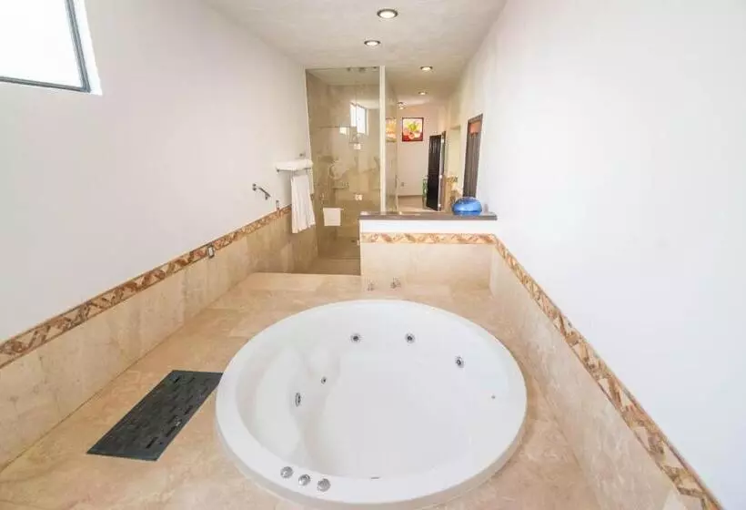اتاق سوپریور با تخت بزرگ, Quinta Las Acacias Hotel Boutique