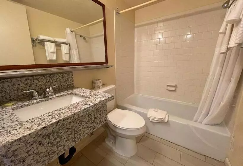 اتاق استاندارد با تخت بزرگ, Travelodge By Wyndham Imperial El Centro