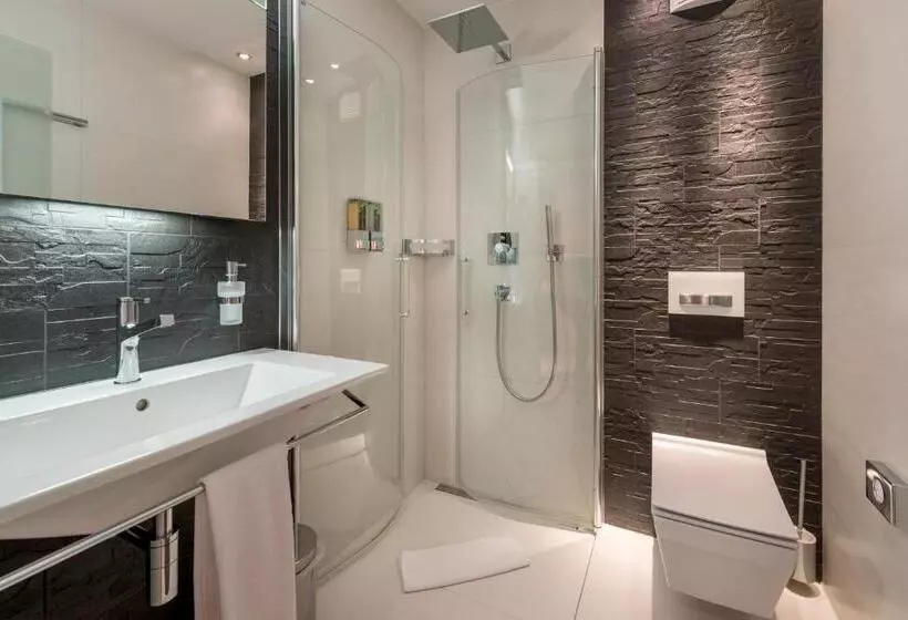 Standard Yhden Hengen Huone, Alpenresort Eienwäldli Engelberg