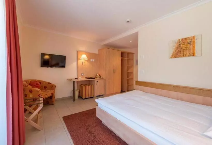 Standard Yhden Hengen Huone, Alpenresort Eienwäldli Engelberg
