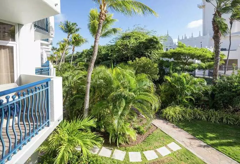 سوئیت با تخت بزرگ, Hilton Aruba Caribbean Resort And Casino