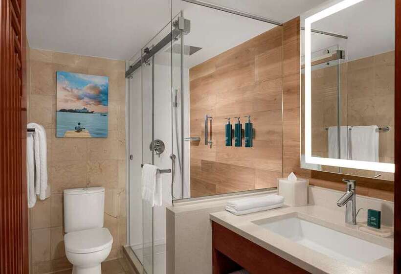 اتاق استاندارد با چشمانداز دریا, Hilton Aruba Caribbean Resort And Casino