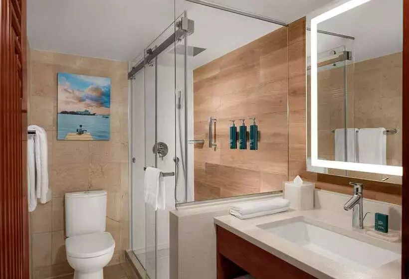 اتاق استاندارد با تخت بزرگ, Hilton Aruba Caribbean Resort And Casino