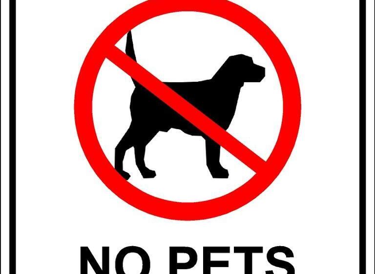 غرفة عائلية, Albury Classic Motor Inn