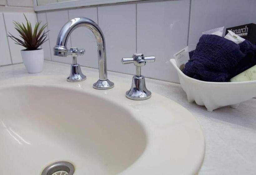 جناح مزود بجاكوزى, Paddlewheel Motel