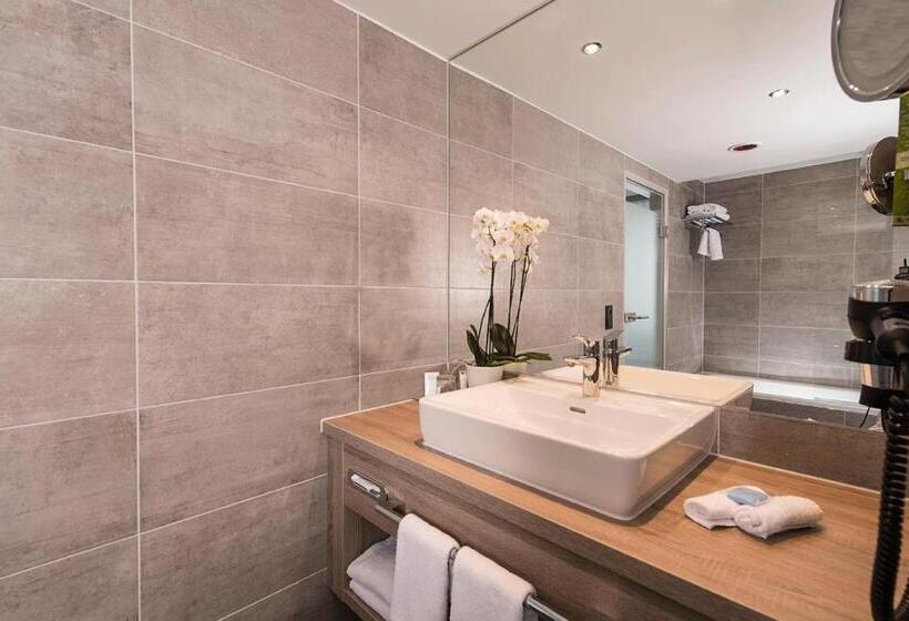 חדר ביזנס, Wyndham Grand Salzburg Conference Centre