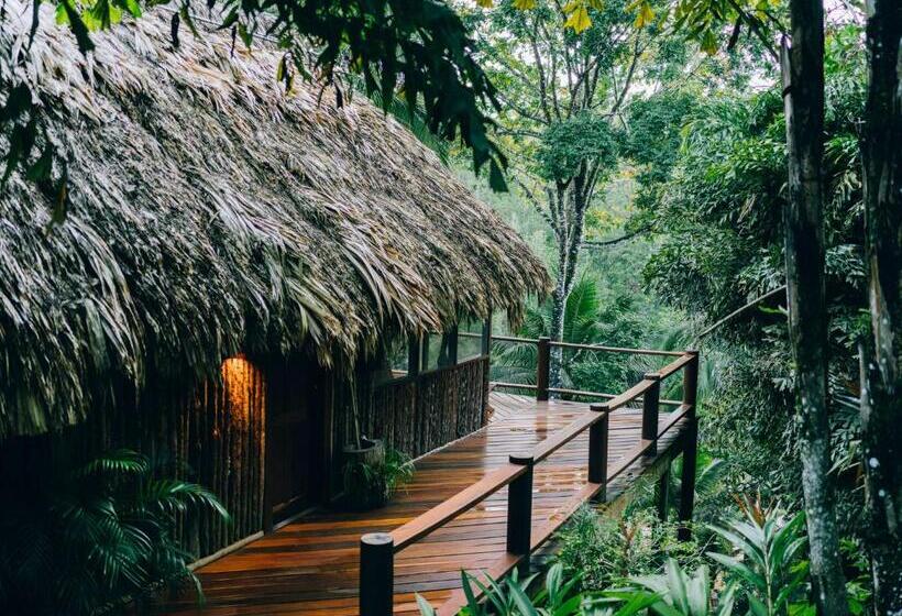 בקתה, Blancaneaux Lodge by Francis Ford Coppola