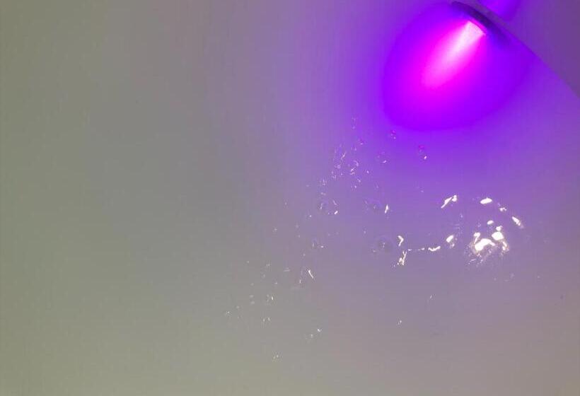 Королевский Люкс, Keizershof Hotel Aalst