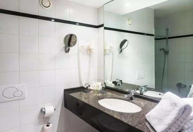 اتاق استاندارد سه نفره, Keizershof Hotel Aalst