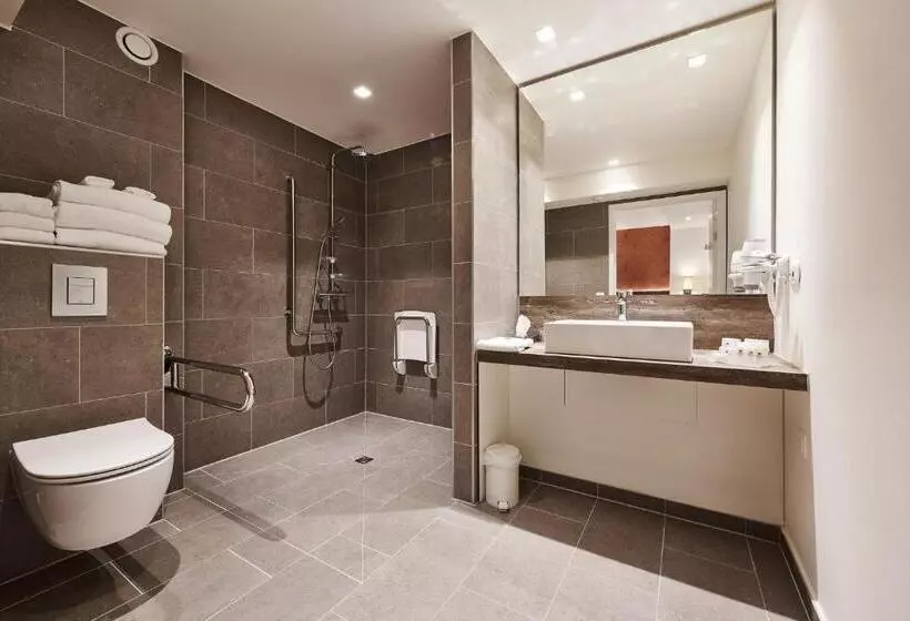 اتاق استاندارد با تخت بزرگ برای معلولان, Keizershof Hotel Aalst
