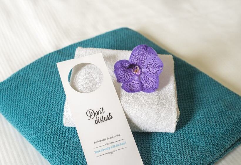 수피리어 룸, Ter Streep