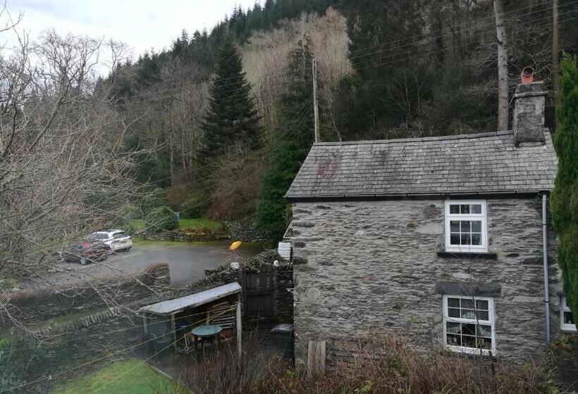 Номер Superior, Aberconwy House B&b