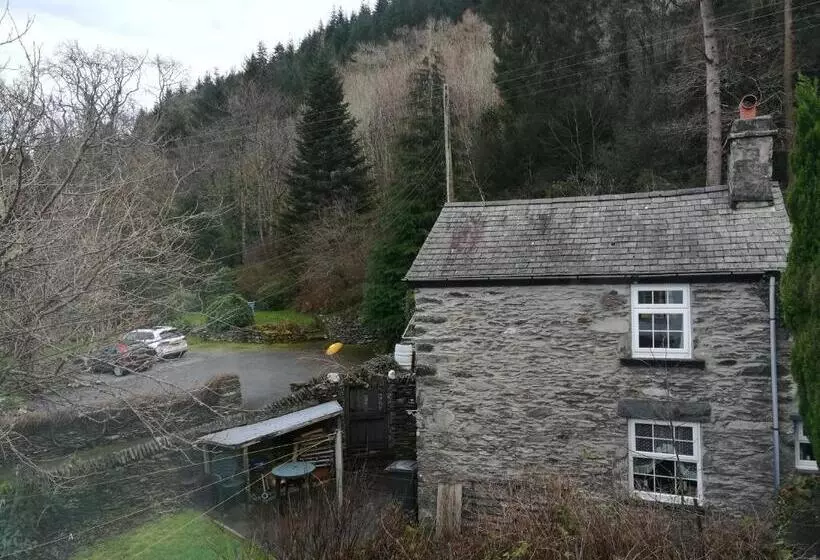 スーペリアールーム, Aberconwy House B&b