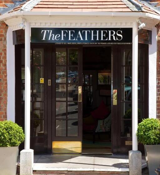 디럭스 룸, The Feathers