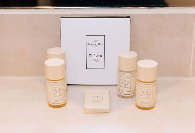 豪华单人间, The Premier Notting Hill