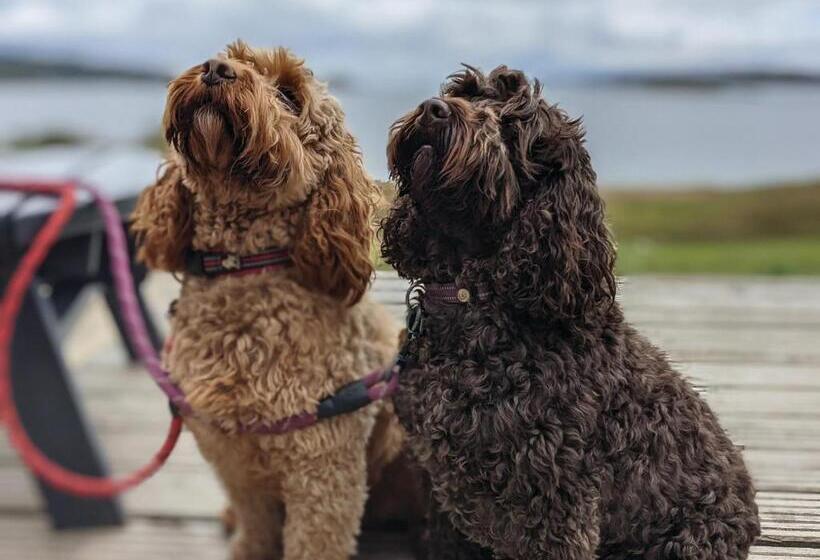 اتاق کلاسیک, Loch Melfort