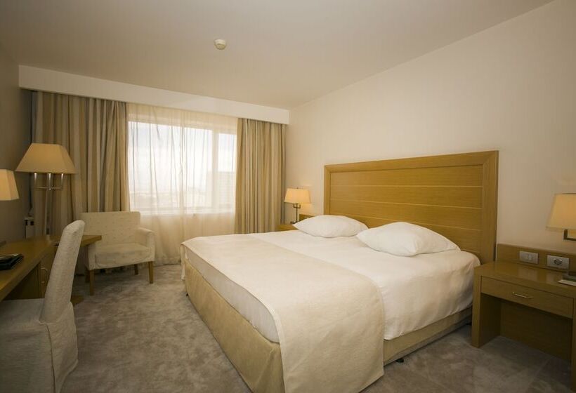 带大床的标准间, Marinela Sofia