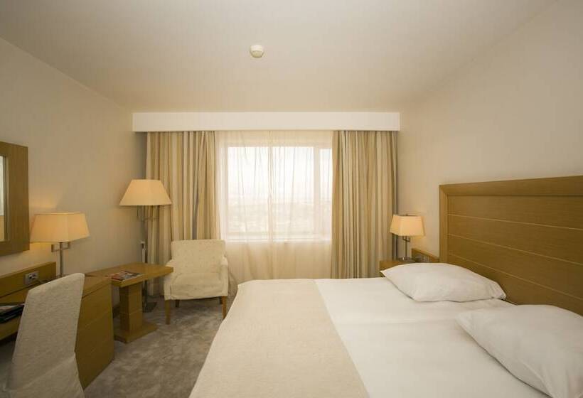 带大床的标准间, Marinela Sofia