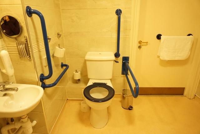 适合残疾人使用的标准间, The Swan