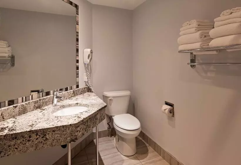 اتاق استاندارد با 2 تخت دوبل, Best Western Hotel St. Jerome