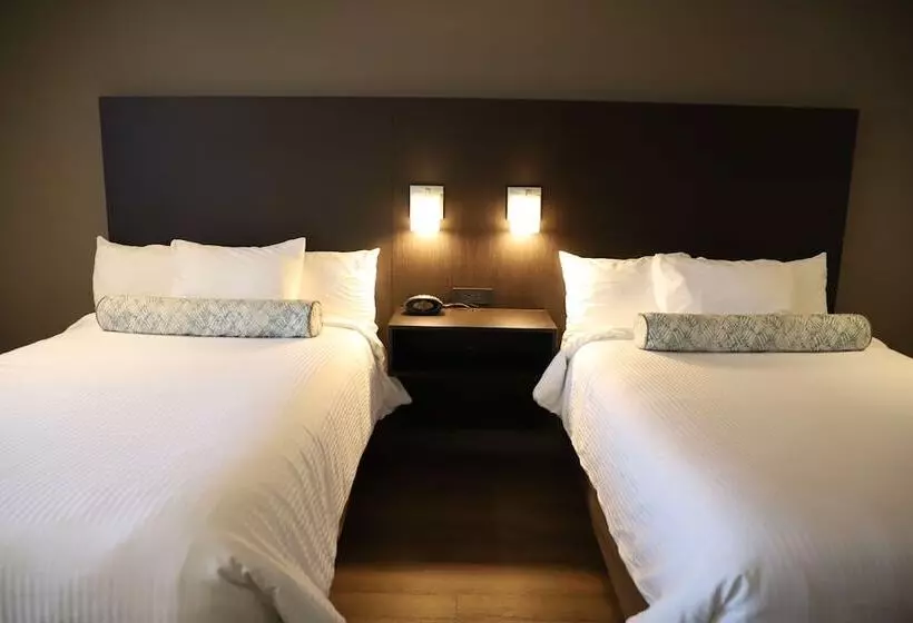 اتاق استاندارد با 2 تخت دوبل, Best Western Hotel St. Jerome