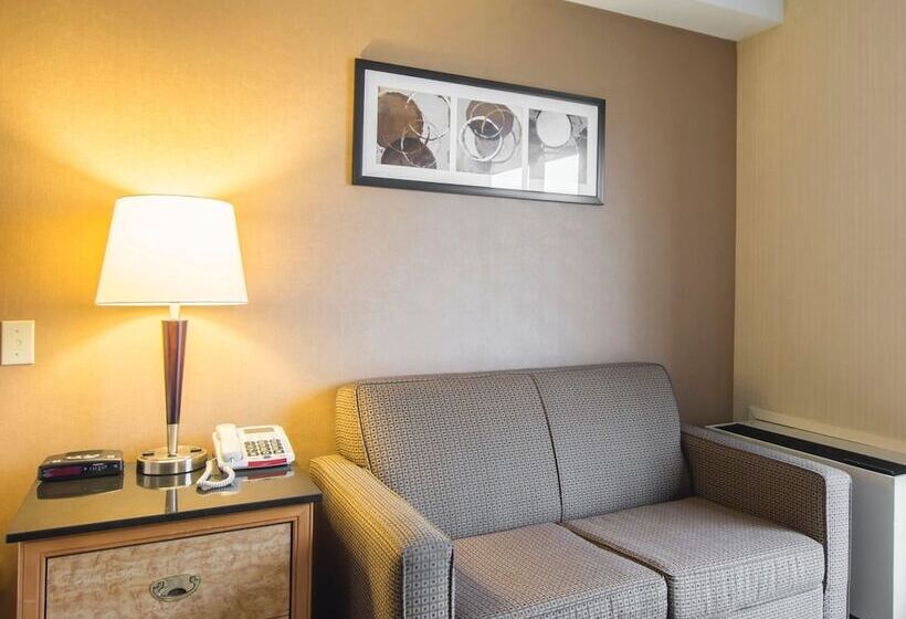 חדר דלוקס, Comfort Inn Airport East