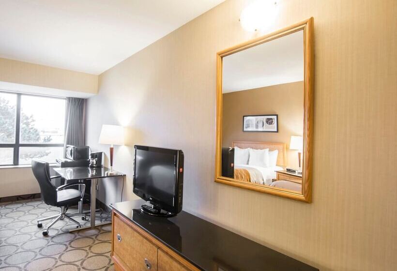 Номер Deluxe, Comfort Inn Airport East