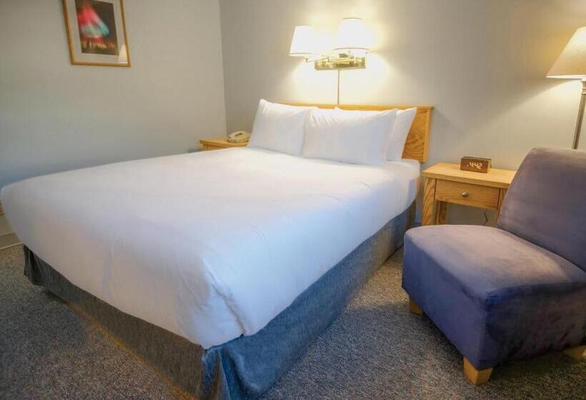 غرفة ديلوكس, Eldorado, A Coast