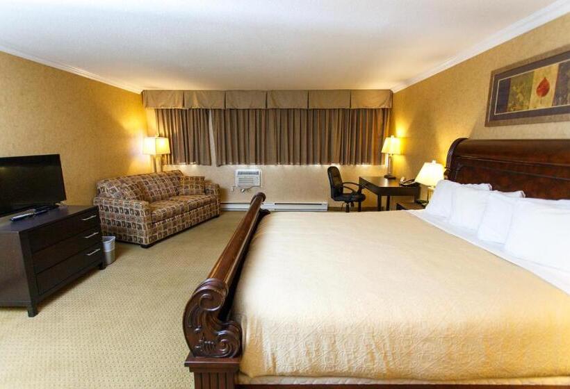 غرفة قياسية سرير كينج, The George Dawson Inn & Conference Centre